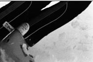 b0000461162