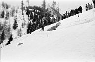 b0000508209