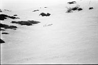 b0000539149