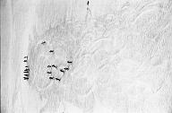 b0000549112