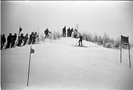 b0000554207