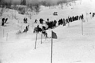 b0000557215