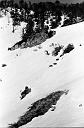 b0000564116