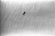 b0000564309
