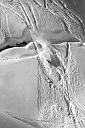 b0000568137