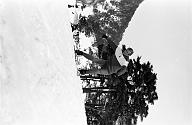 b0000593116