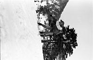 b0000593118