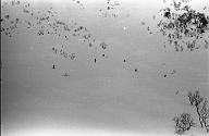 b0000595110