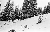 b0000612140