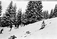 b0000612146