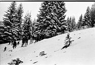 b0000612147