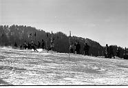 b0000613149