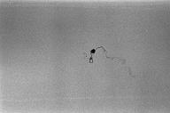 b0000643142