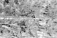 b0000662170
