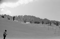 b0000696116