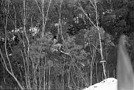 b0000755211