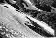 b0000766209