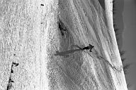 b0000770102