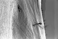 b0000770104