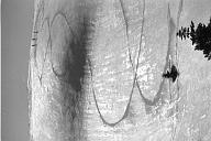 b0000774131