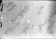 b0000785136