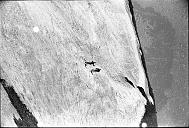 b0000785141