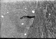 b0000785156