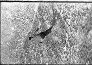 b0000785167
