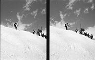 b0000786145