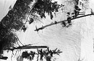 b0000802105