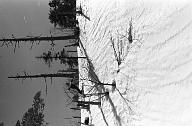 b0000802106