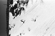b0000803115