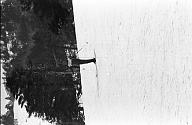 b0000808111