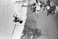 b0000836108