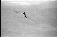 b0000839109