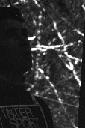 b0000266