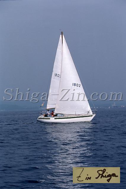 s0000005017.jpg