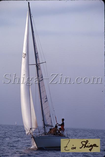 s0000019017.jpg