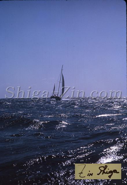s0000019020.jpg
