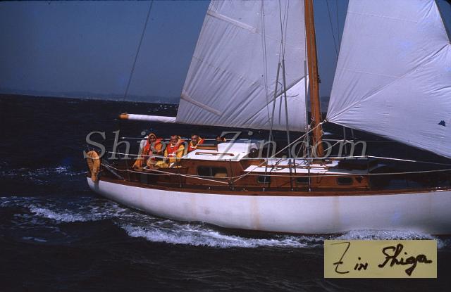 s0000019021.jpg