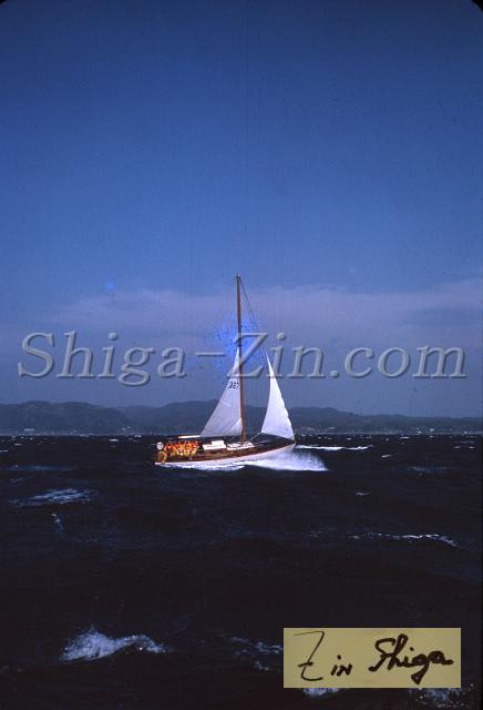 s0000019022.jpg
