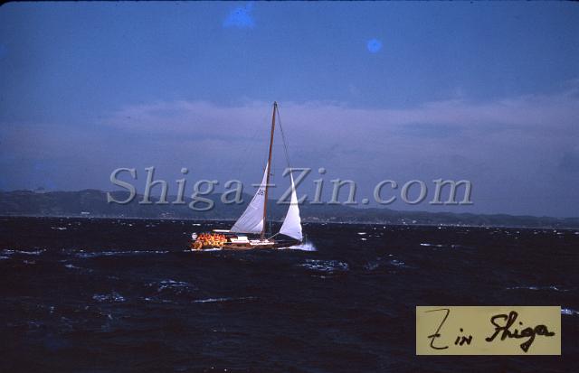s0000019024.jpg