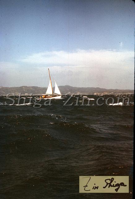 s0000019029.jpg