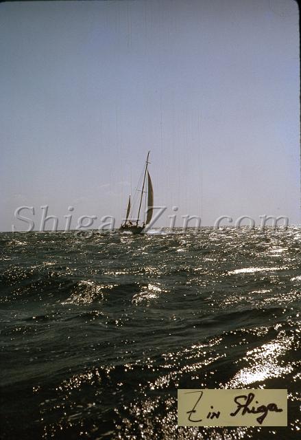 s0000019037.jpg
