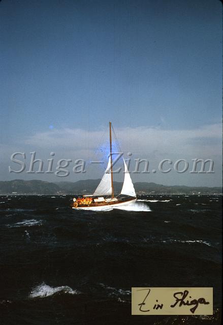 s0000019038.jpg