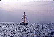 s0000019016
