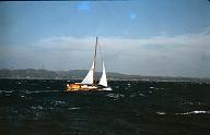 s0000019041