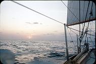 s0000019048