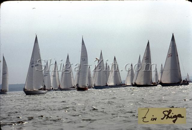 s0000029003.jpg