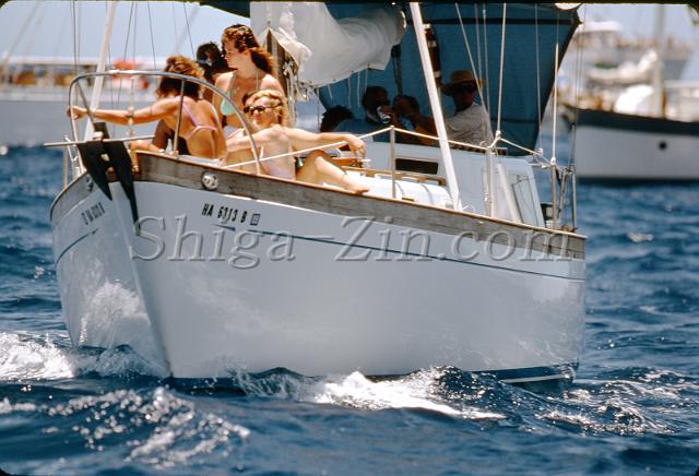 s0000036004.jpg